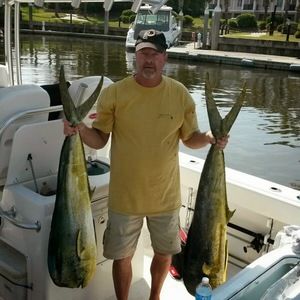 Meet your Posher, Joe